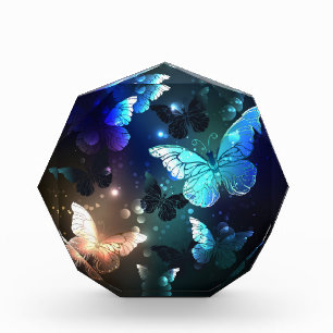 Fluttering Night Butterfly Acrylic Award