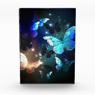 Fluttering Night Butterfly Acrylic Award