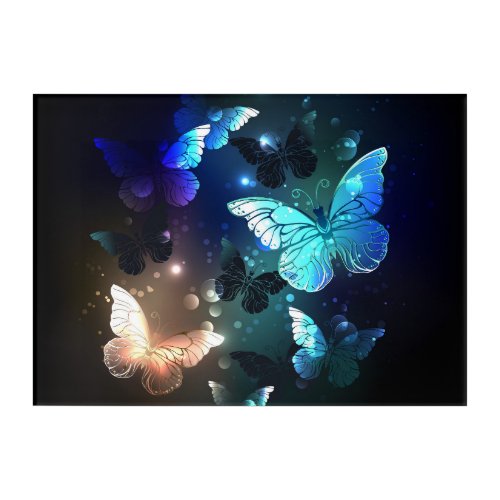 Fluttering Night Butterfly Acrylic Print