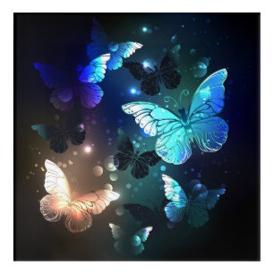 Fluttering Night Butterfly Acrylic Print