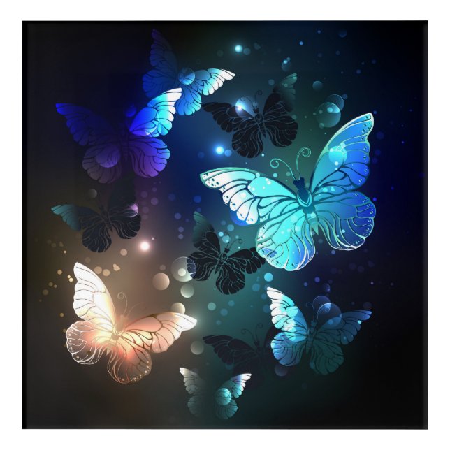 Fluttering Night Butterfly Acrylic Print (Front)