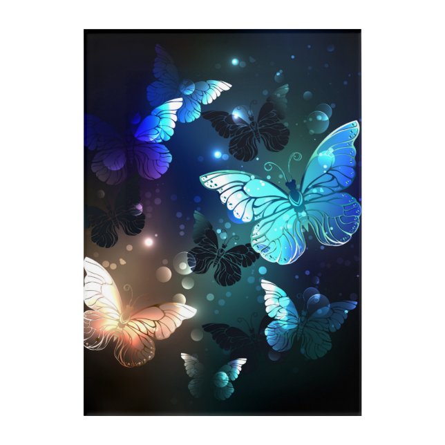 Fluttering Night Butterfly Acrylic Print (Front)