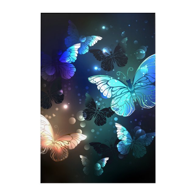 Fluttering Night Butterfly Acrylic Print (Front)