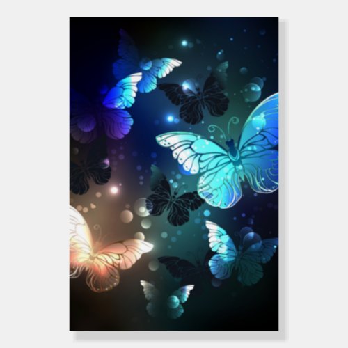 Fluttering Night Butterfly Foam Board