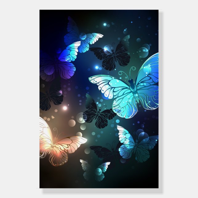 Fluttering Night Butterfly Foam Board (Front)