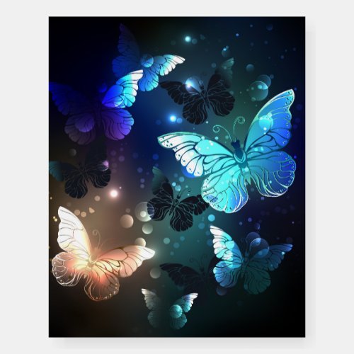 Fluttering Night Butterfly Foam Board