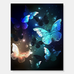 Fluttering Night Butterfly Foam Board