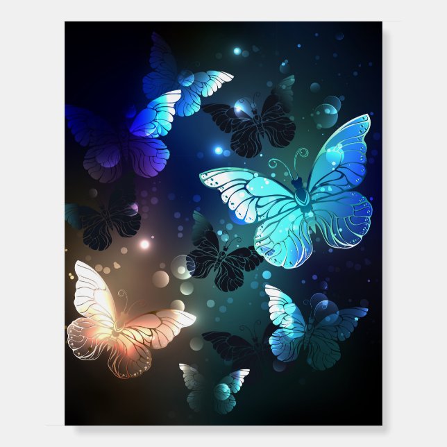 Fluttering Night Butterfly Foam Board (Front)