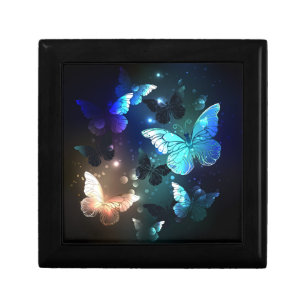 Fluttering Night Butterfly Gift Box
