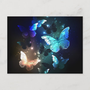 Fluttering Night Butterfly Holiday Postcard