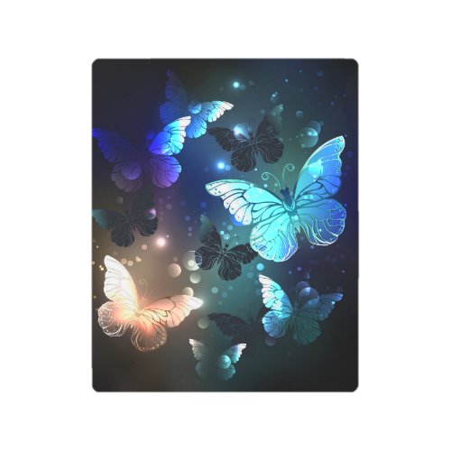 Fluttering Night Butterfly Metal Print