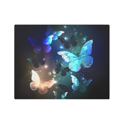 Fluttering Night Butterfly Metal Print