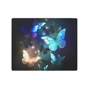 Fluttering Night Butterfly Metal Print