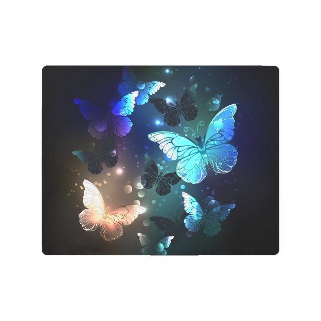 Fluttering Night Butterfly Metal Print (Front)