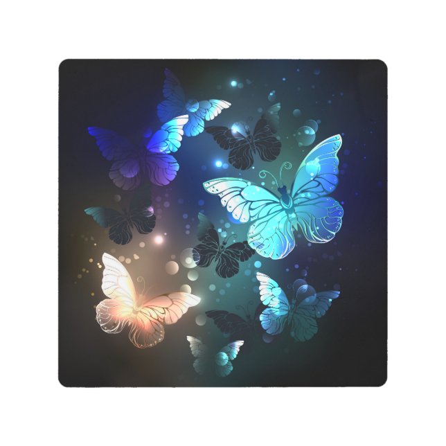 Fluttering Night Butterfly Metal Print (Front)