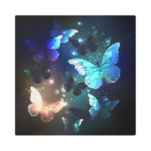 Fluttering Night Butterfly Metal Print