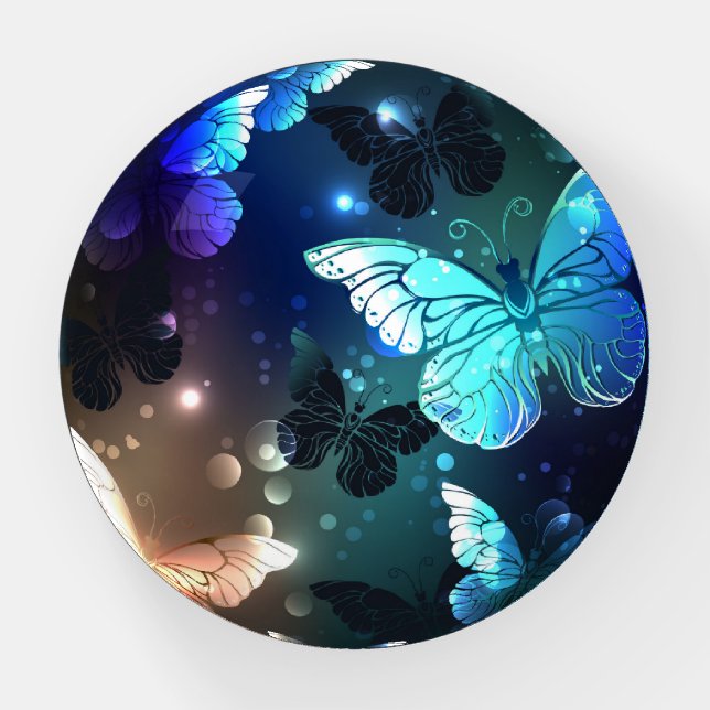 Fluttering Night Butterfly Paperweight (Front)