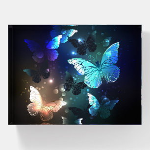 Fluttering Night Butterfly Paperweight
