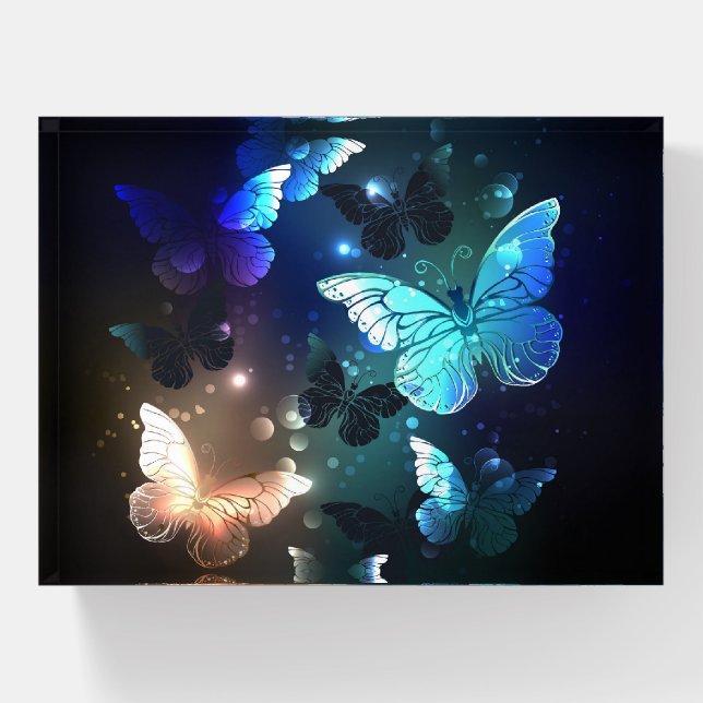 Fluttering Night Butterfly Paperweight (Front)
