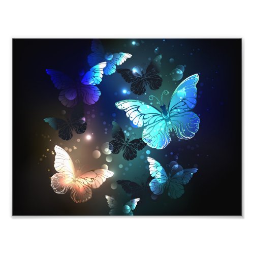 Fluttering Night Butterfly Photo Print