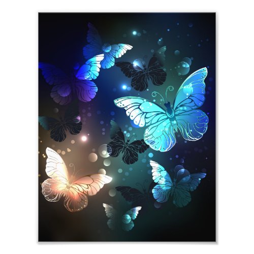 Fluttering Night Butterfly Photo Print