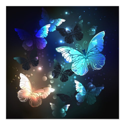 Fluttering Night Butterfly Photo Print