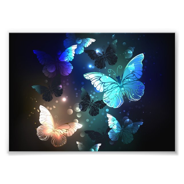 Fluttering Night Butterfly Photo Print (Front)