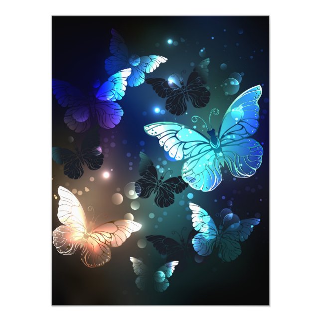 Fluttering Night Butterfly Photo Print (Front)