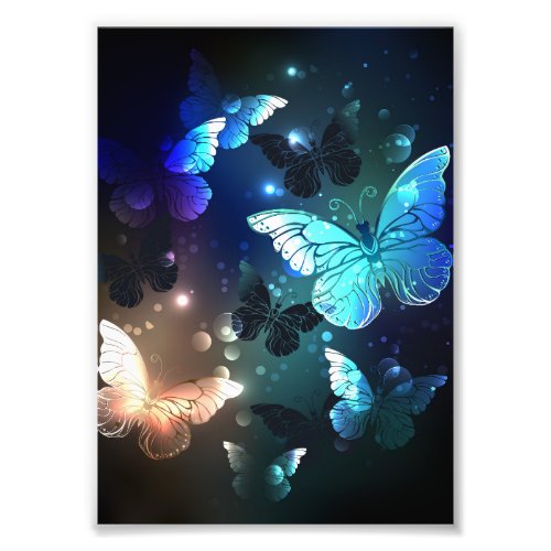 Fluttering Night Butterfly Photo Print