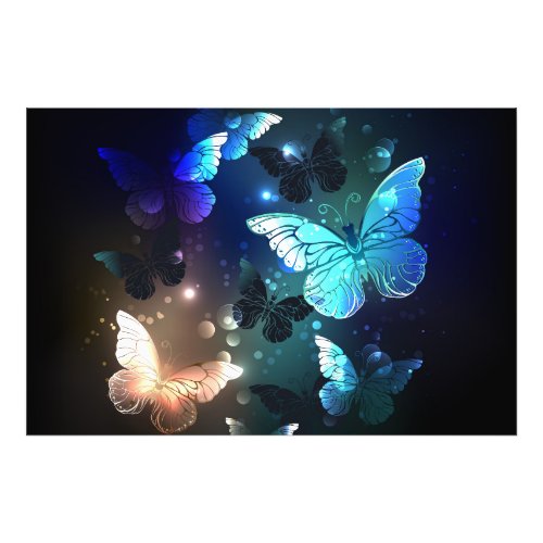 Fluttering Night Butterfly Photo Print