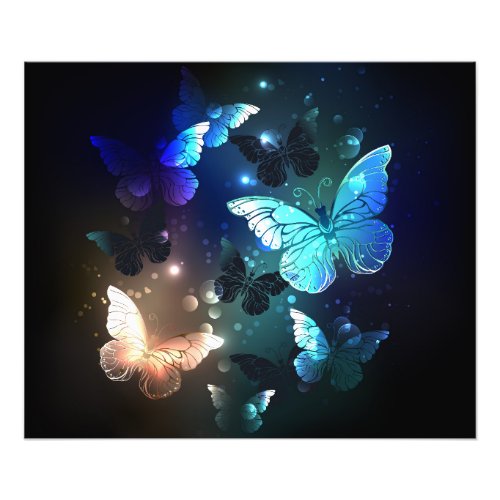 Fluttering Night Butterfly Photo Print