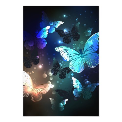 Fluttering Night Butterfly Photo Print