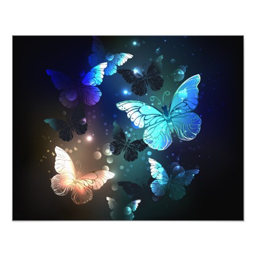 Fluttering Night Butterfly Photo Print