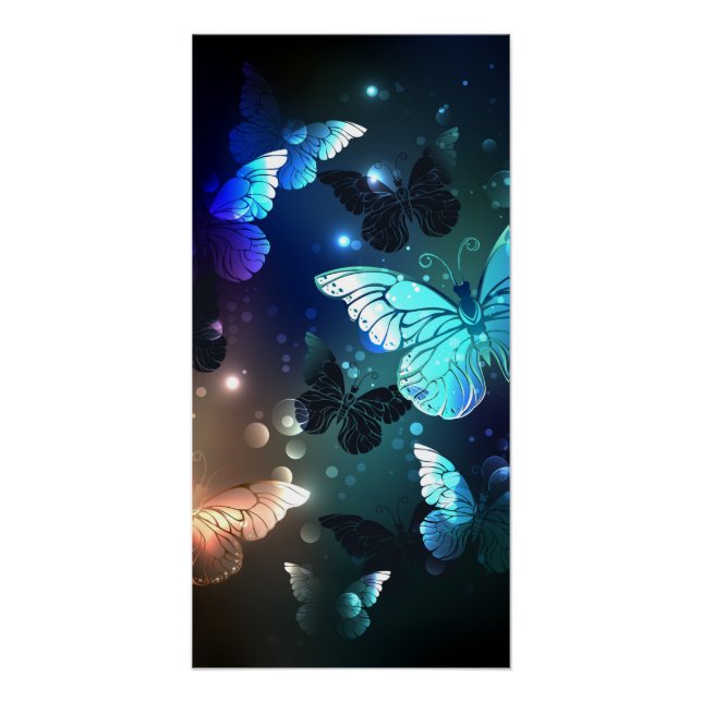 Fluttering Night Butterfly Poster (Front)