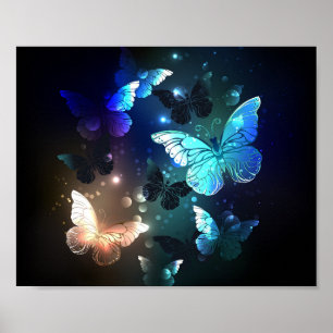 Fluttering Night Butterfly Poster