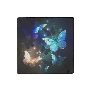 Fluttering Night Butterfly Stone Magnet
