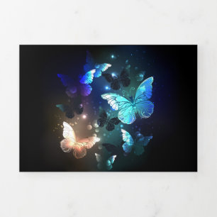 Fluttering Night Butterfly Tri-Fold Program