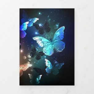 Fluttering Night Butterfly Tri-Fold Program