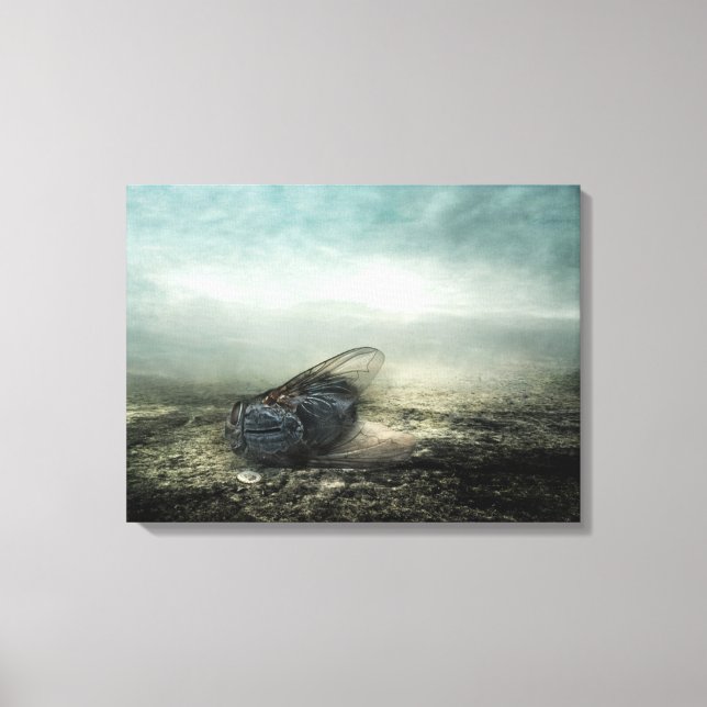 Fly 2013 canvas print (Front)
