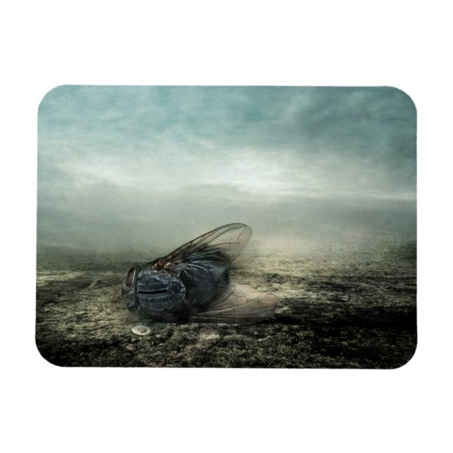 Fly 2013 magnet (Horizontal)