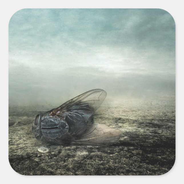 Fly 2013 square sticker (Front)