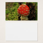 Fly Agaric (Front & Back)