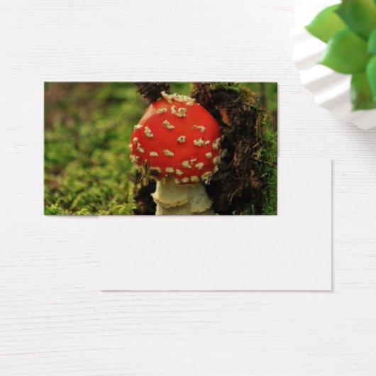 Fly Agaric (Desk)