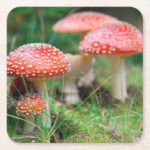 Fly_Agaric In A Forest Closeup Photo Square Paper Coaster