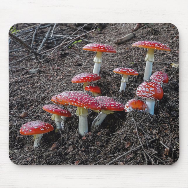 Fly agaric mouse pad (Front)