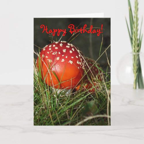 Fly Agaric Mushroom Birthday Card