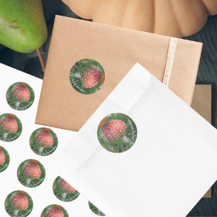 Fly agaric mushroom classic round sticker