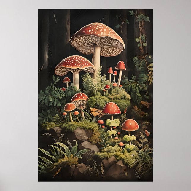 Fly Agaric Mushroom Print, Dark Academia Poster (Front)