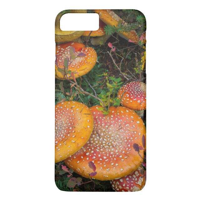 Fly agaric mushrooms at Mowich Lake Case-Mate iPhone Case (Back)