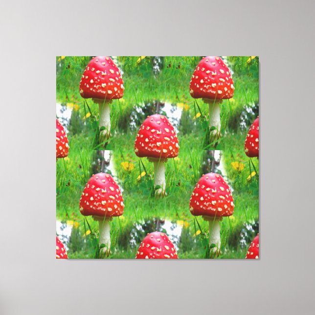 Fly Agaric Mushrooms Canvas Print (Front)